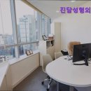 진담성형외과의원 네이버블로그