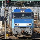 270-3055 | 2015.12.18 大宮(오미야) 출사기 3