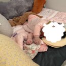 그룹스터디 | [참여후기]'하이담 베이비슬립'그룹 스터디 후기