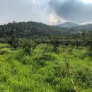 꿈꾸는 농장 이미지