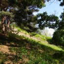 서울 고구려 유적의 대표 성지, 아차산 여름 나들이 (아차산생태공원, 아차산성, 아차산1보루, 5보루...