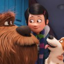 (주)펫박스 이미지