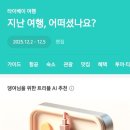 개구리게임장 | 대만 여행🇹🇼