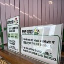 연남동 꽈배기 디저트 맛집 '꽈페' 후기