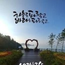 나무와사람그리고흙