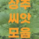 세계농약사 이미지