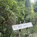 들꽃향기오두막 | 구례가볼만한곳 추천 천개의 향나무숲