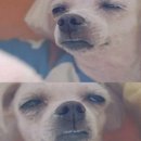 페이보릿커피