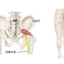 부부짐 휘트니스 이미지