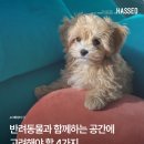 행복한 동행(同行)을 위한 소파 선택 기준 4가지 이미지