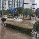 Typhoon Haishen ravages Korea 이미지