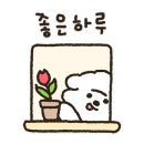 낙화담캠핑장 이미지