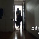 사색의 방 이미지