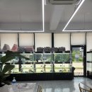 펫프린 | 평택강아지목욕 "펫 프린"에서 목욕후기 가져왔어요 !