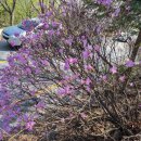 금빛탑공인중개사사무소 이미지