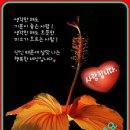 리찾사카페[중년댄스쉼터-유머엽기]아아^^ 그렇구나 이미지