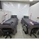 눈썹쟁이 이미지