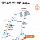 신영주주유소 이미지