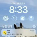 비자닷컴 | 아카바 in 암만 out 비자 면제 | 로얄 조르단 후기