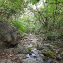 꿈꾸는 숲 이미지