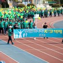 KGB택배 이미지