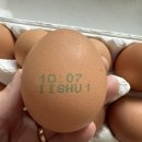 심다누팜 이미지