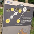 한라산풍경 | [제주도●한라산]한라산등반/2025.5.30
