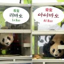 24시 서울YES동물병원 이미지