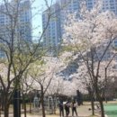 죽곡근린공원 이미지