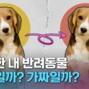 크랩나라 네이버블로그