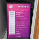 부산외국어고등학교 | 2025부산시 미디어멤버스 체육대회 즐거웠던 참여후기