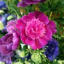 푸른교회 이미지