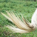 꽁지머리미용실 이미지