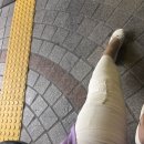 갤러리성모정형외과의원 이미지