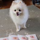 갑순이네 과자점 이미지