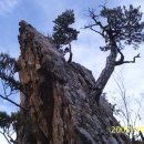 백운역 남광장 이미지