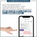 다솜켄넬 이미지