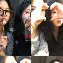 애견아트