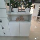 홈리짐 | 미금역 피티, 미금역pt 받을 때 홈리짐에서 받아봐요