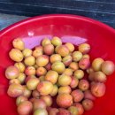 용정8길 8, (용산동) 이미지