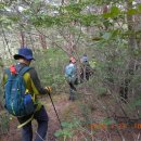 수비초등학교 이미지