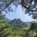 산 - 태백시 황지연못길 19 | 산