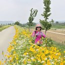 경기둘레길 이천38코스 이미지