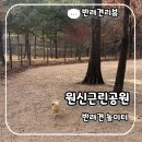 원신공원 | 반려견 놀이터가 있는 원신근린공원 방문후기