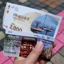 홍천시티투어 | 동해 가볼만한곳 천곡황금박쥐동굴 후기 | 비 오는 날 좋은 실내 여행지