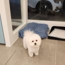 소사미용실 이미지