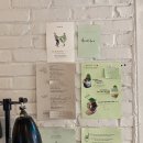 렌즈아울렛(호호렌즈) | [서촌][동대문]처음 쓰는 블로그 (서촌카페 얼스어스, 동대문 아웃백)