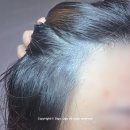 틴트랩 - 순천시 명말2길 10 | 두피틴트추천 포이랩 사용 후기, 정수리커버 헤어라인 커버 바르는 흑채