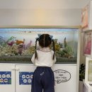 꽃개 | [보나츠x누핀] 소굿남매의 아이와 강아지 커플템 추천, 보나츠 루즈팬츠 &amp; 누핀 꽃개 티셔츠 후기