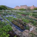 3공단2로-20 이미지